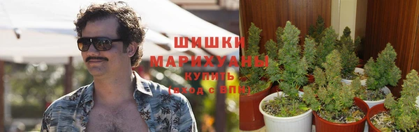 соль ск Каменка