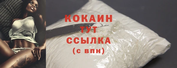 молекула духа Касимов