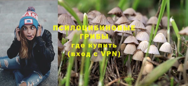 мяу мяу мука Инта