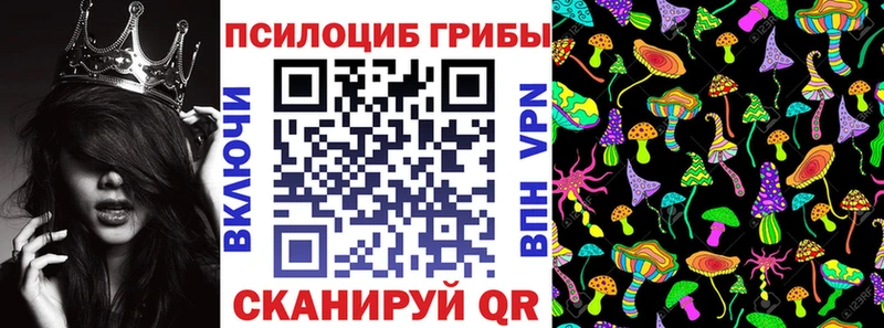 сколько стоит  Кедровый  Галлюциногенные грибы Psilocybine cubensis 